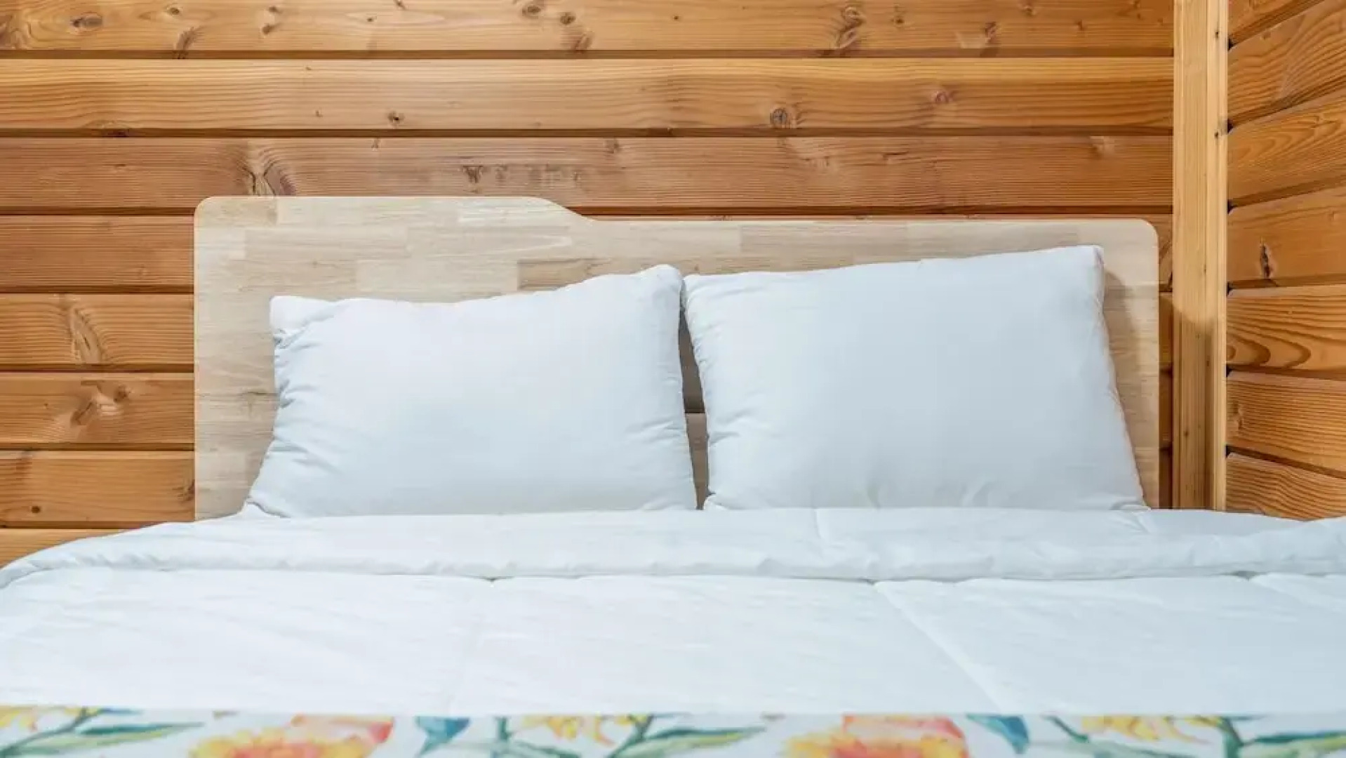 Hwacheon Parprika Yellow Pension