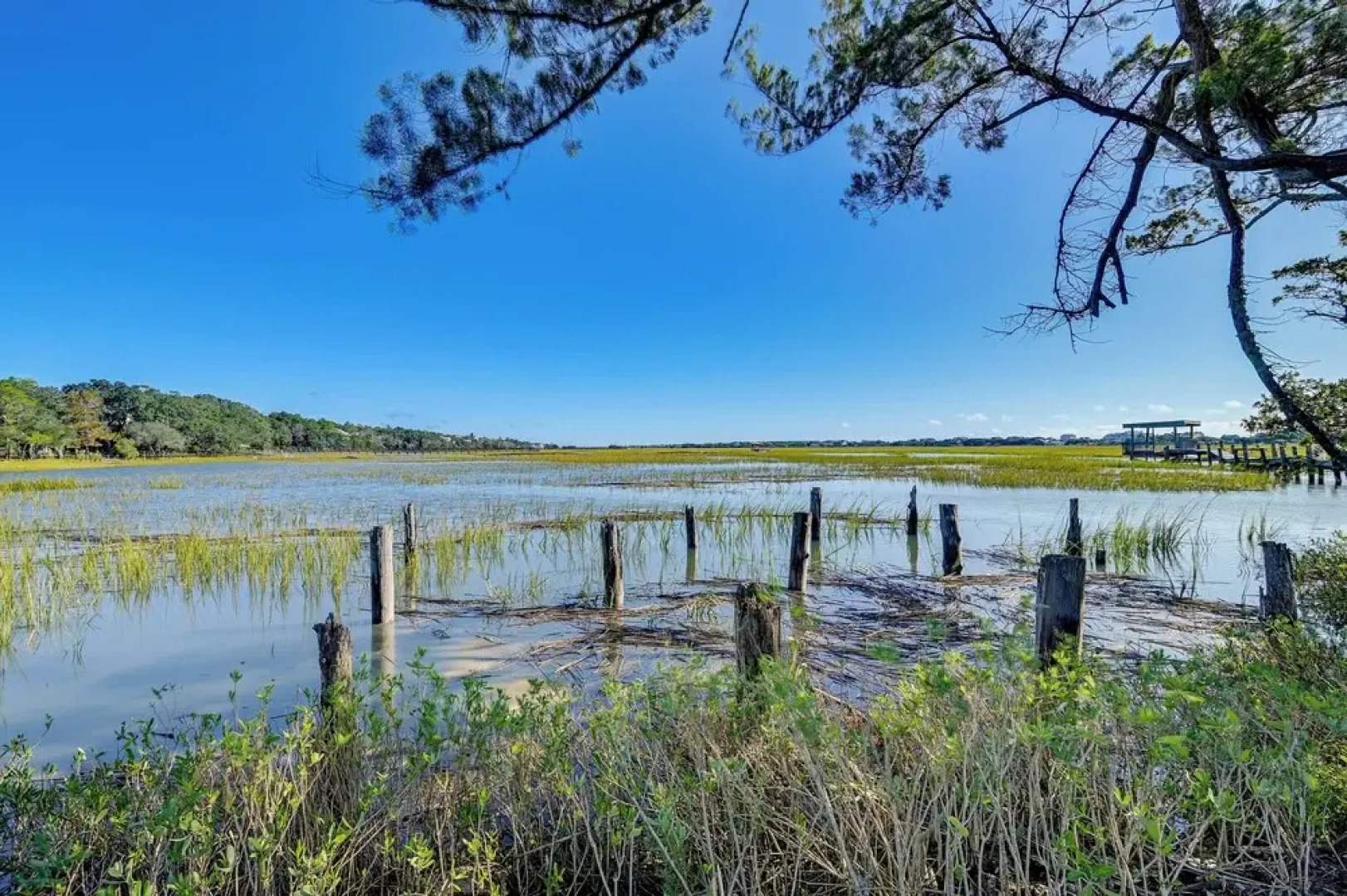 Pawleys Island Retreat