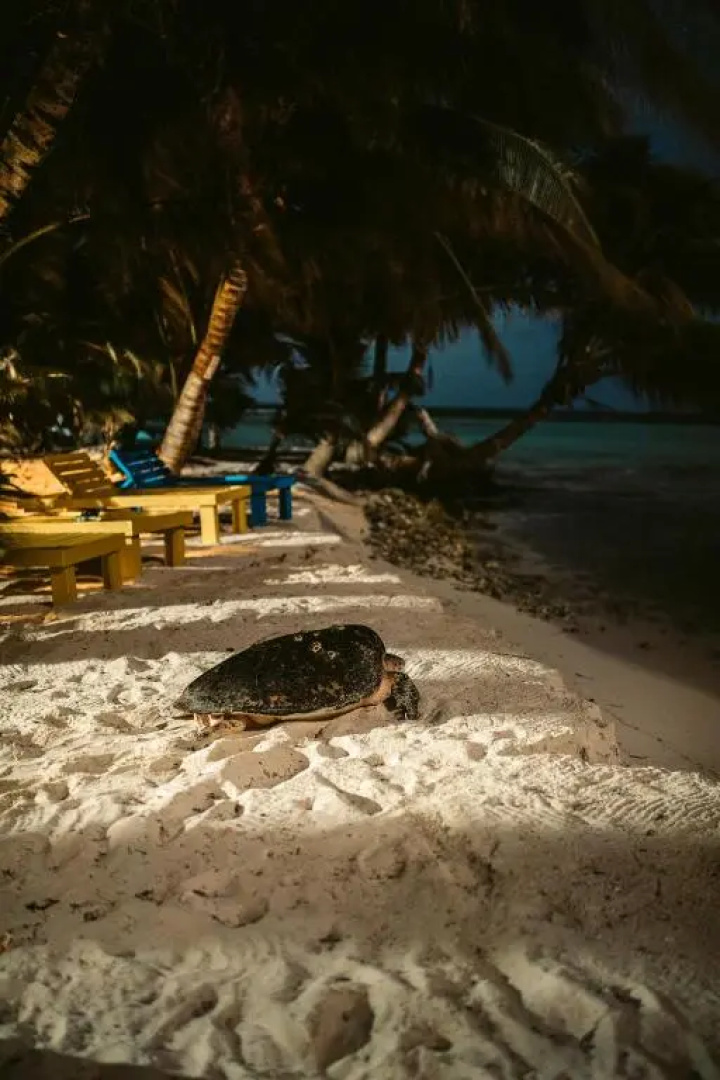 Ranguana Caye, a Muy’Ono Resort