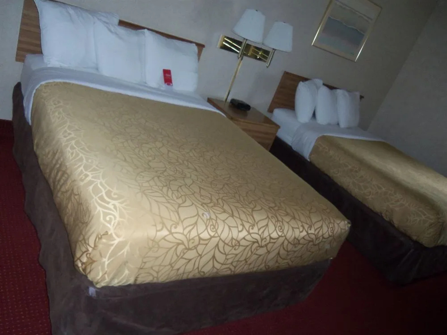 Econo Lodge Arena Wilkes Barre