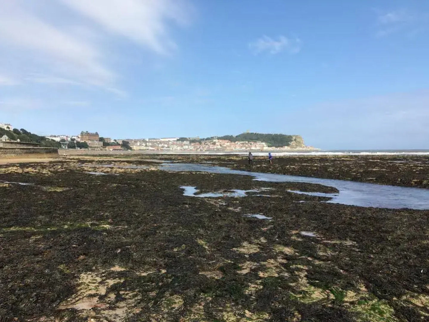 Lighthouse Holiday Cottage