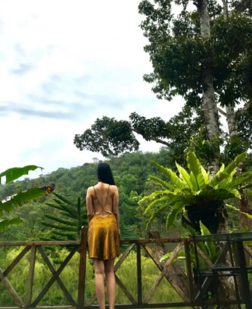 Fig Tree Hill Resort