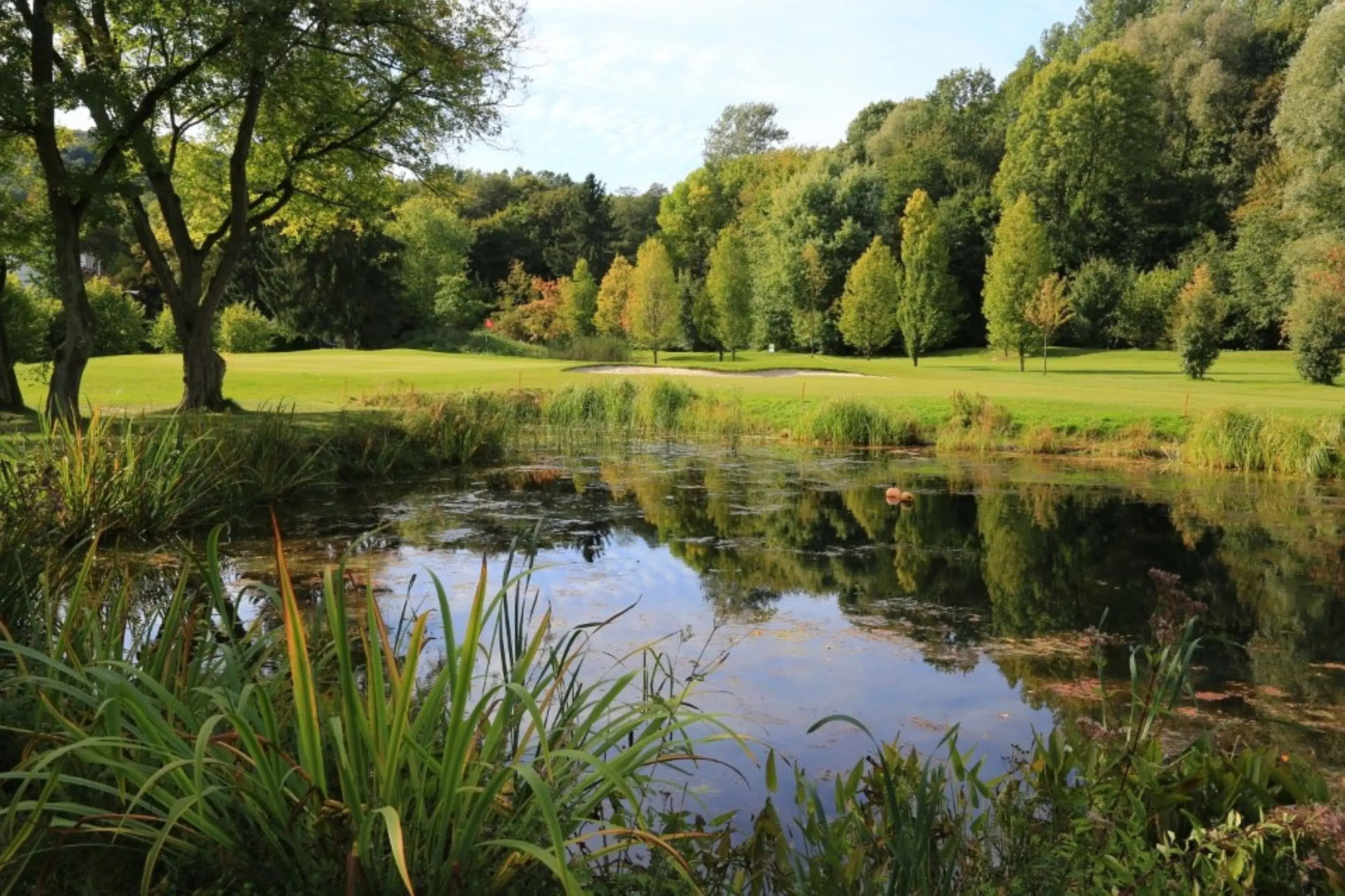 Gruga Apartment an der Messe