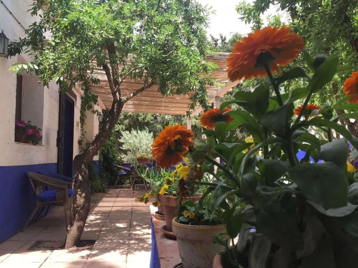 Finca El Huerto de Dulcinea