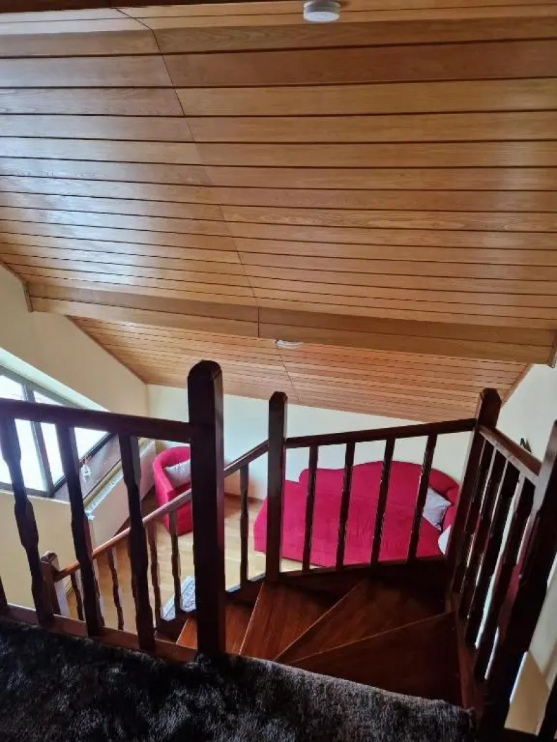 Vila Pinul Si Mesteacanul