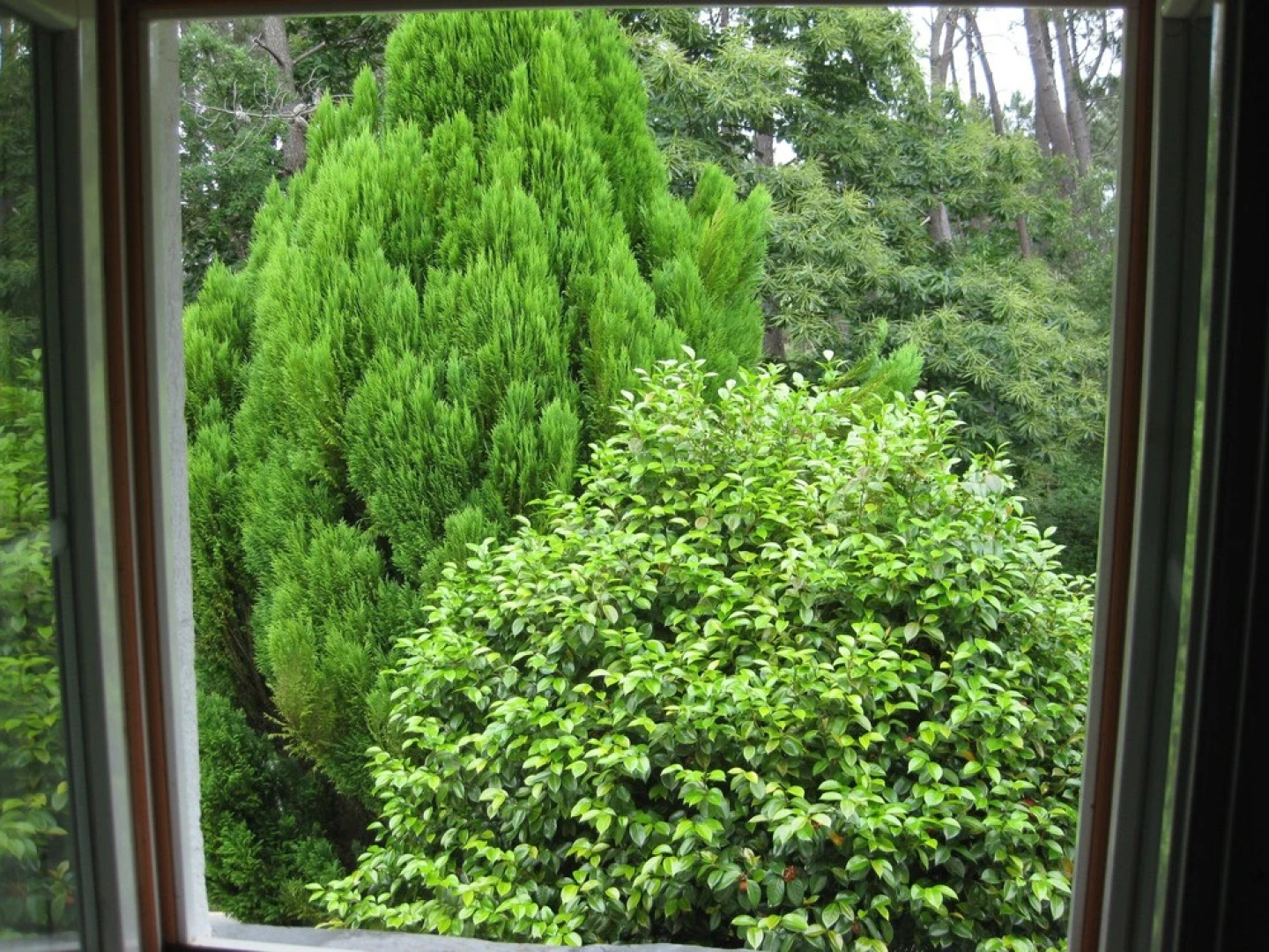 Hotel rural La Casa del Burrero