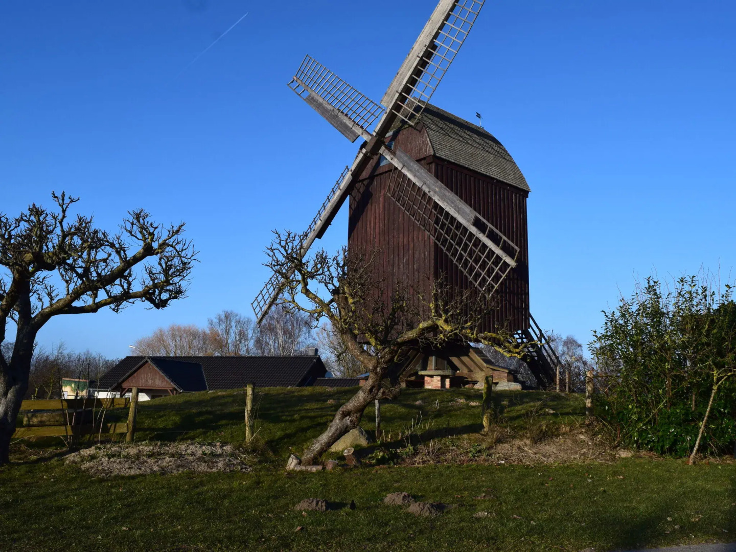 Cottage, Freest in Freest