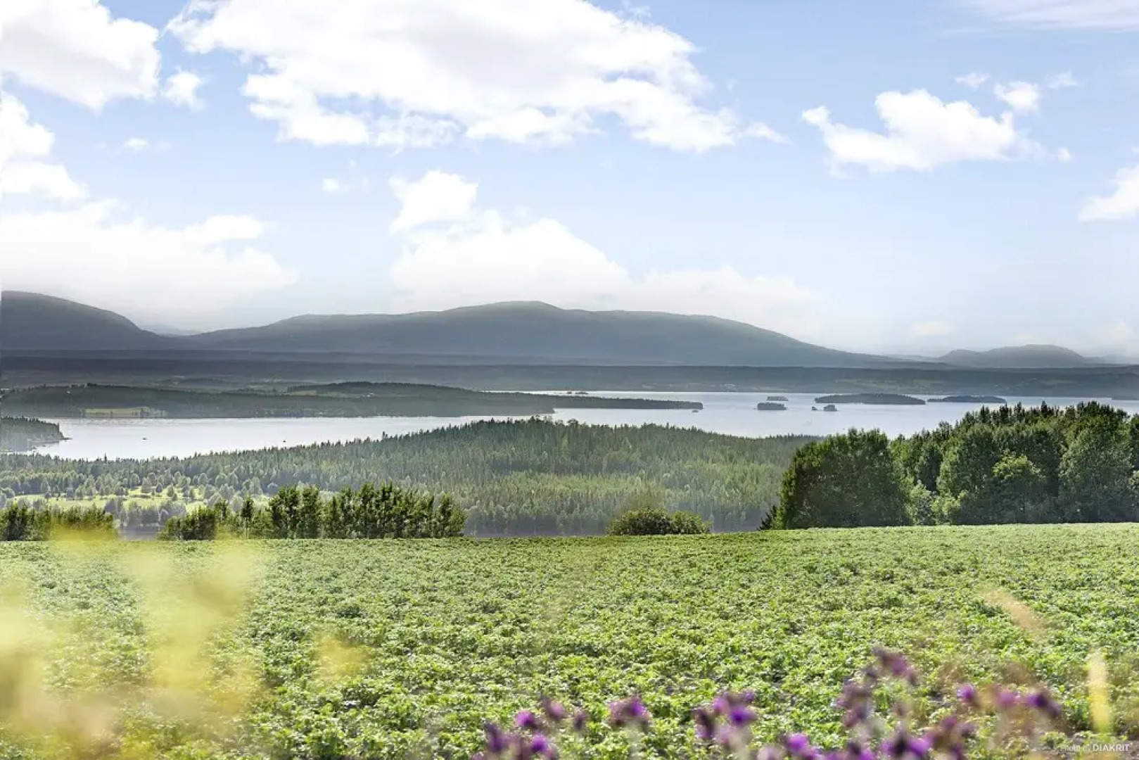 First Camp Frösön Östersund