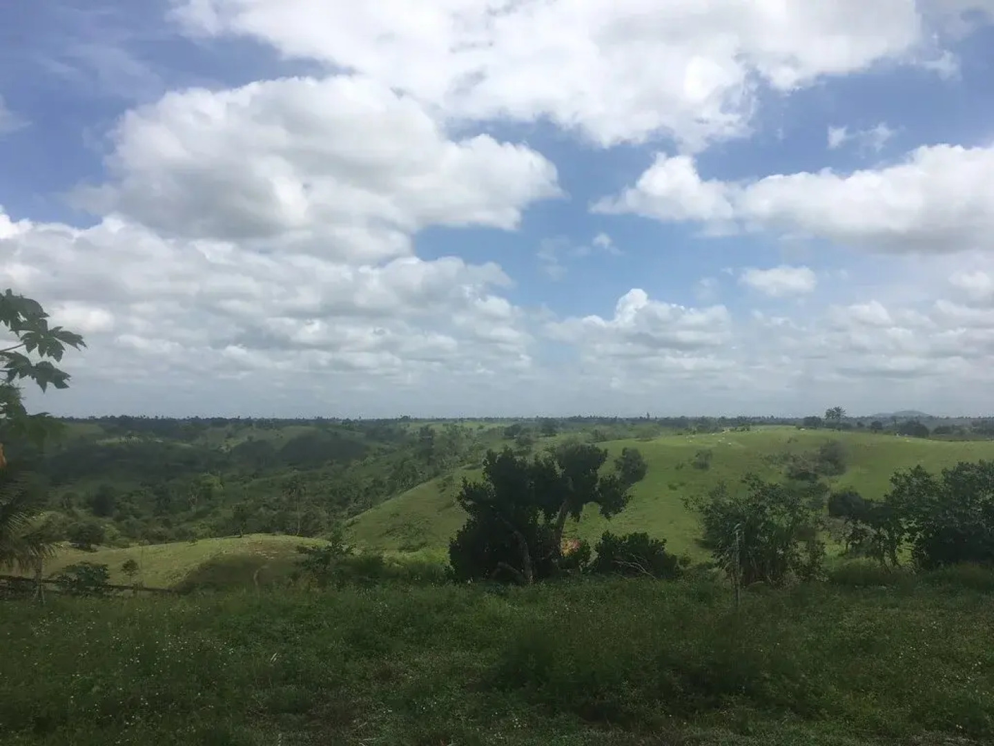 Hotel Fazenda Alto Alegre
