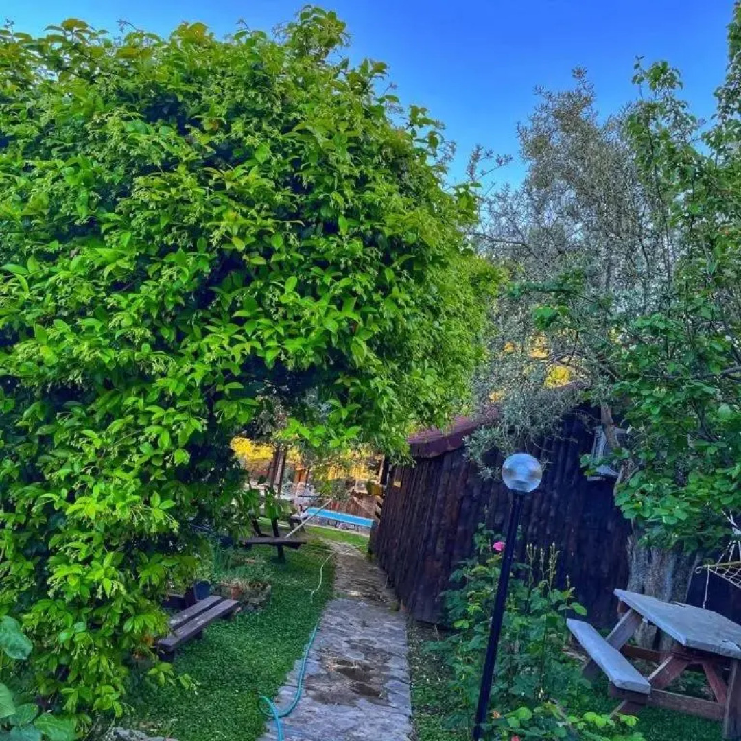 ZeytinDagi Bungalow Butik Otel