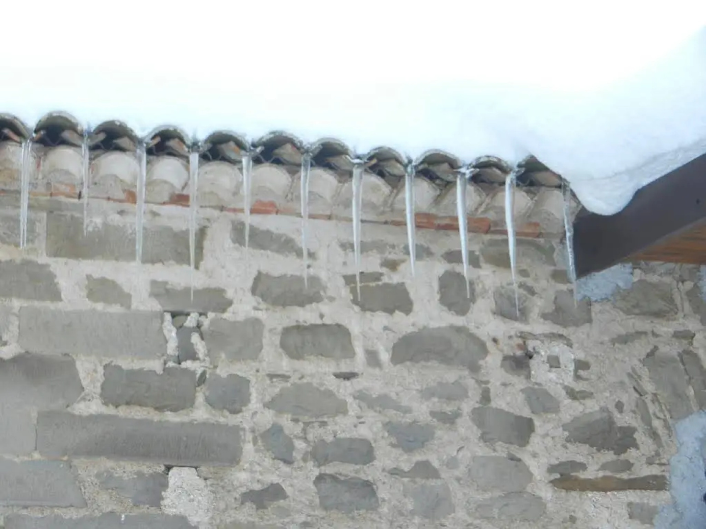 LEremo Du Zu Paolo