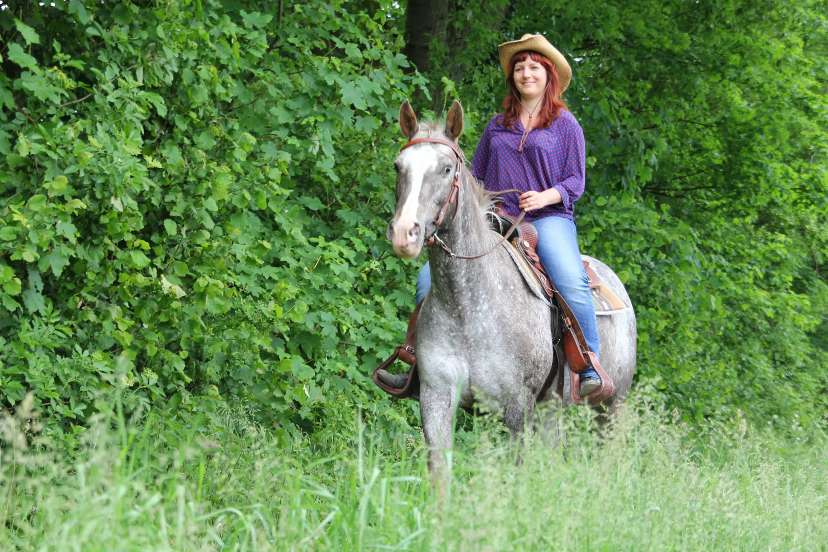 Wegekaten - Ferienwohnungen unter Reet