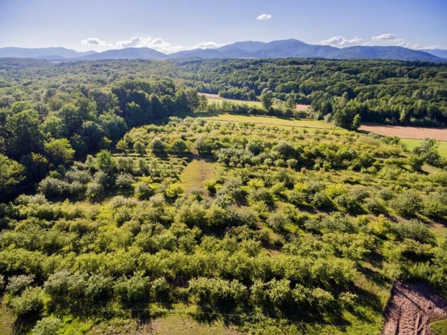 Hotel du Domaine Saint Loup