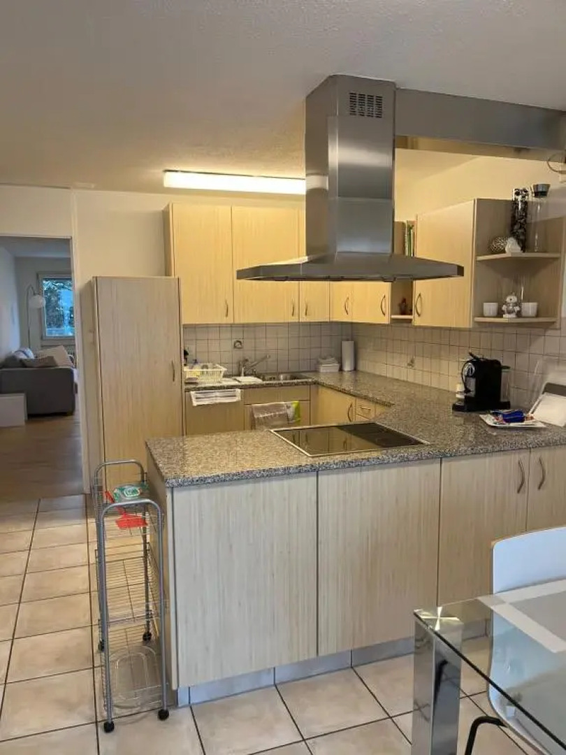 Amazing lakeview flat Horn