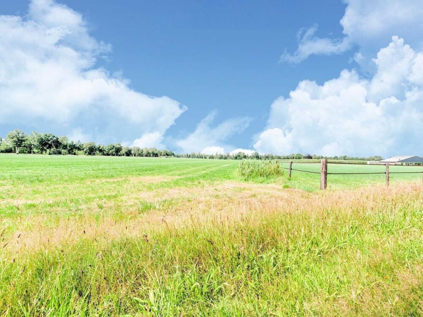 Chalet in Stegeren Near Hiking Trails