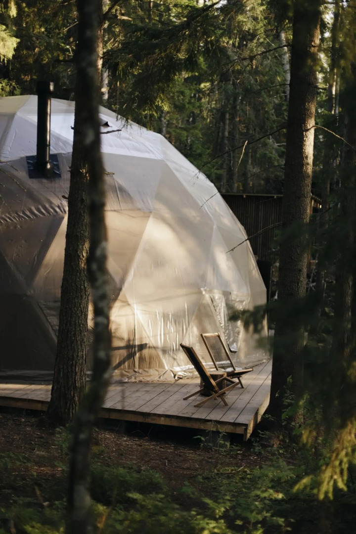 Вили Улей Карелия