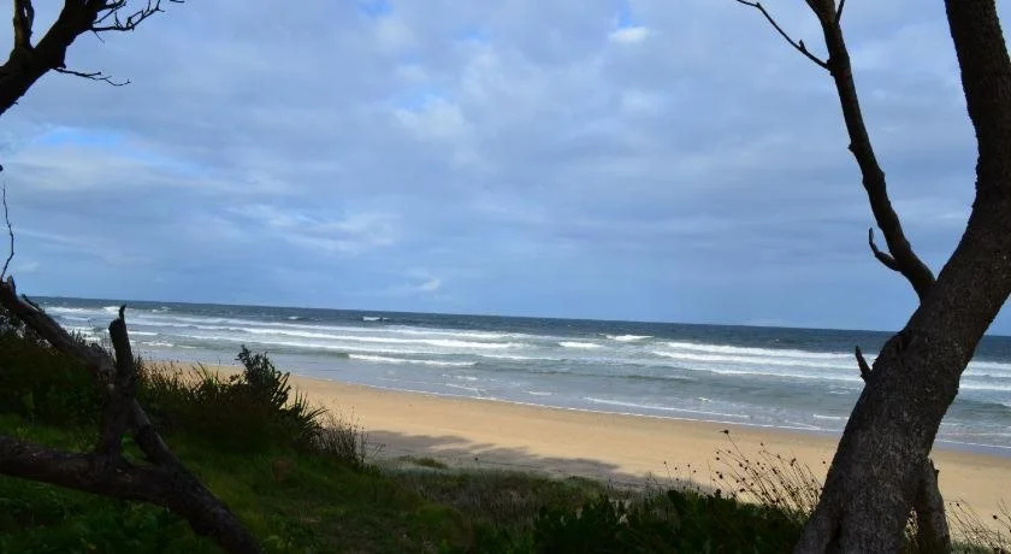 Gateway Lifestyle Lorikeet