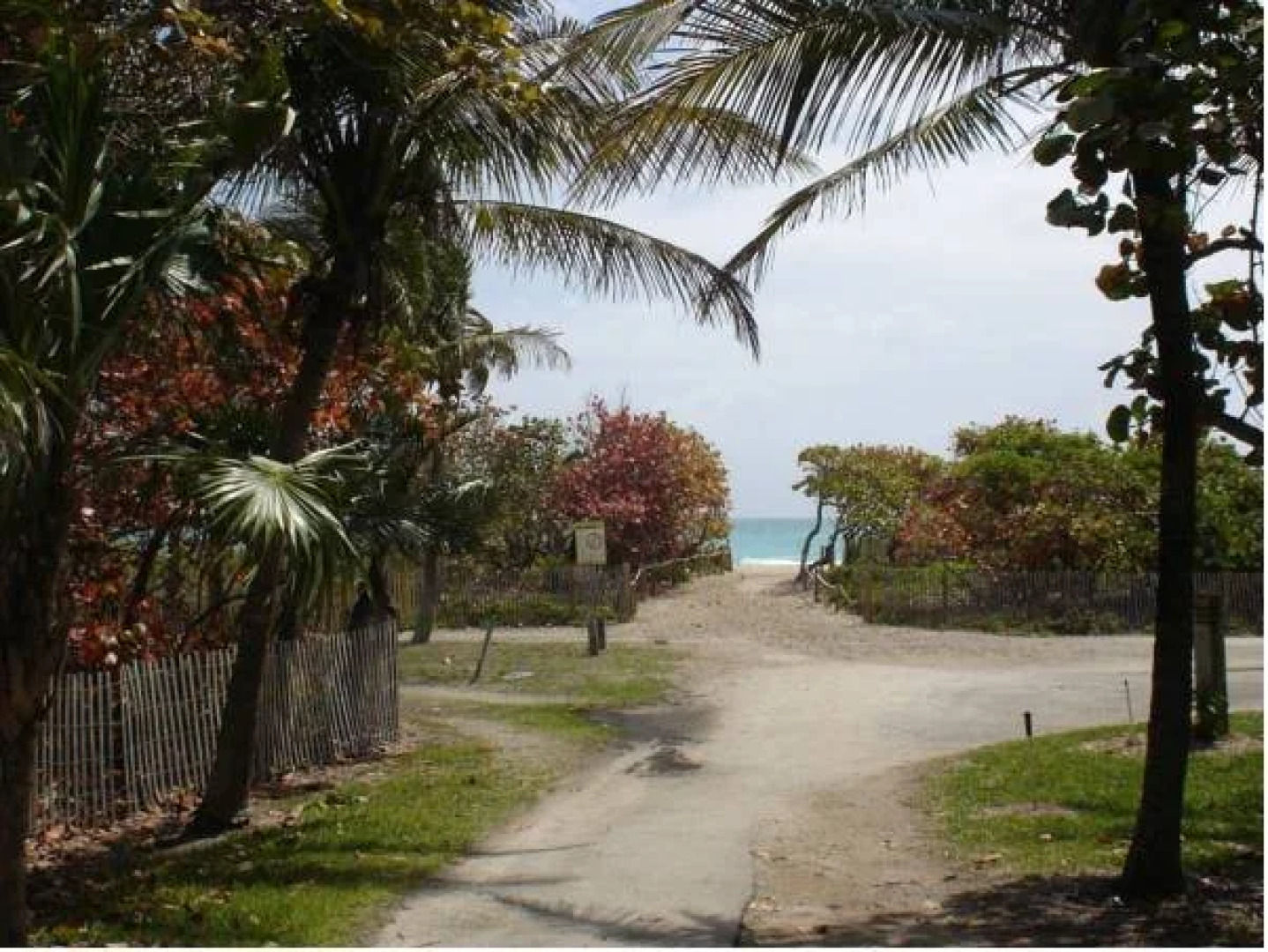 Beach Corner Miami Beach