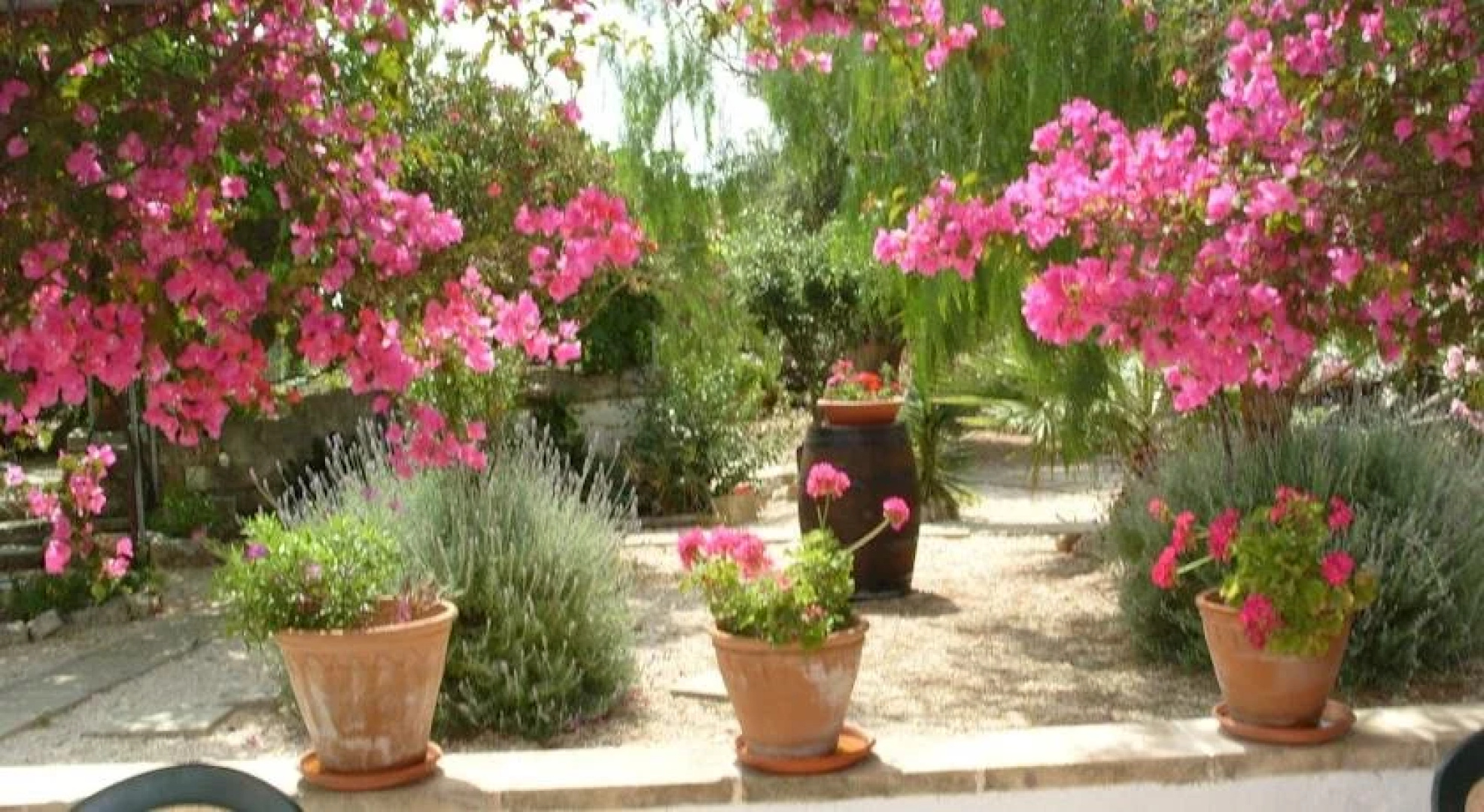 Masseria Casa Nostra