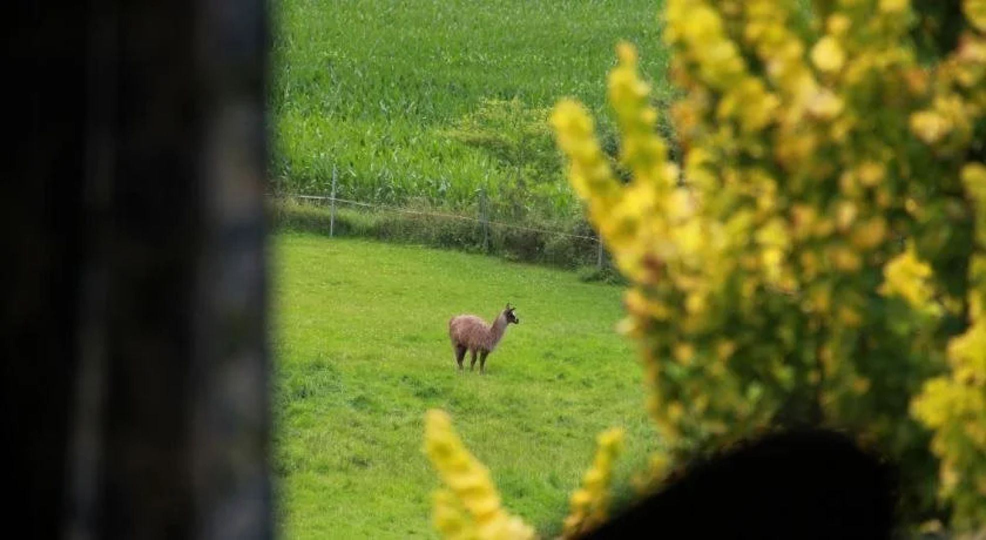Betten im Bauernhaus