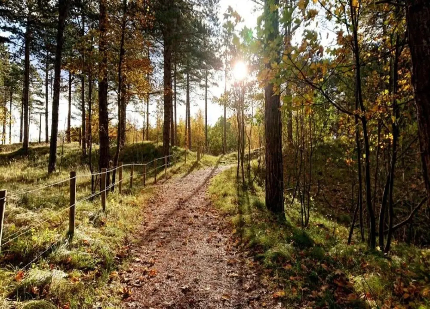 Villa in Burgh-haamstede With Garden