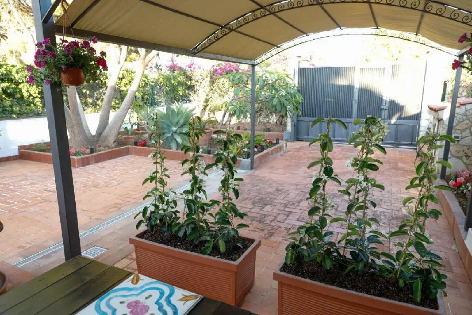 Airport sicily home palermo