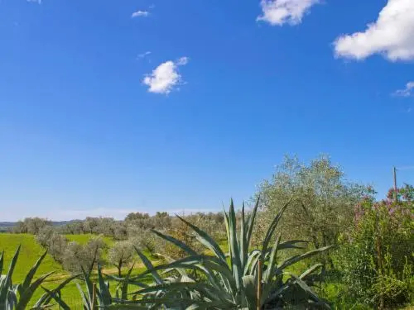 Locazione turistica San Giorgio