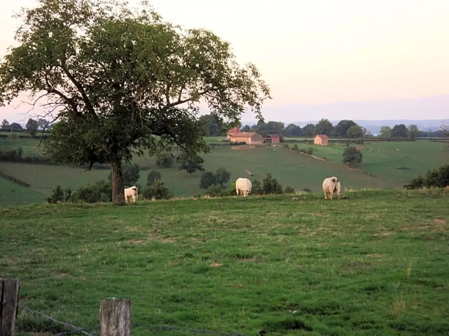 Chambres dHôtes La Vie en Roses