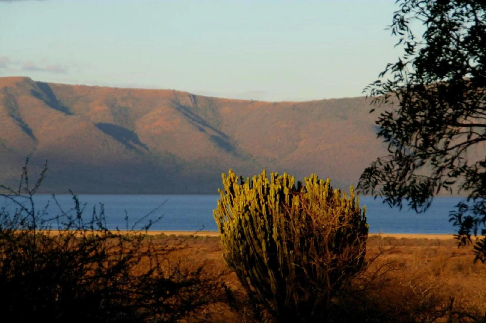 Africamps at White Elephant Safaris