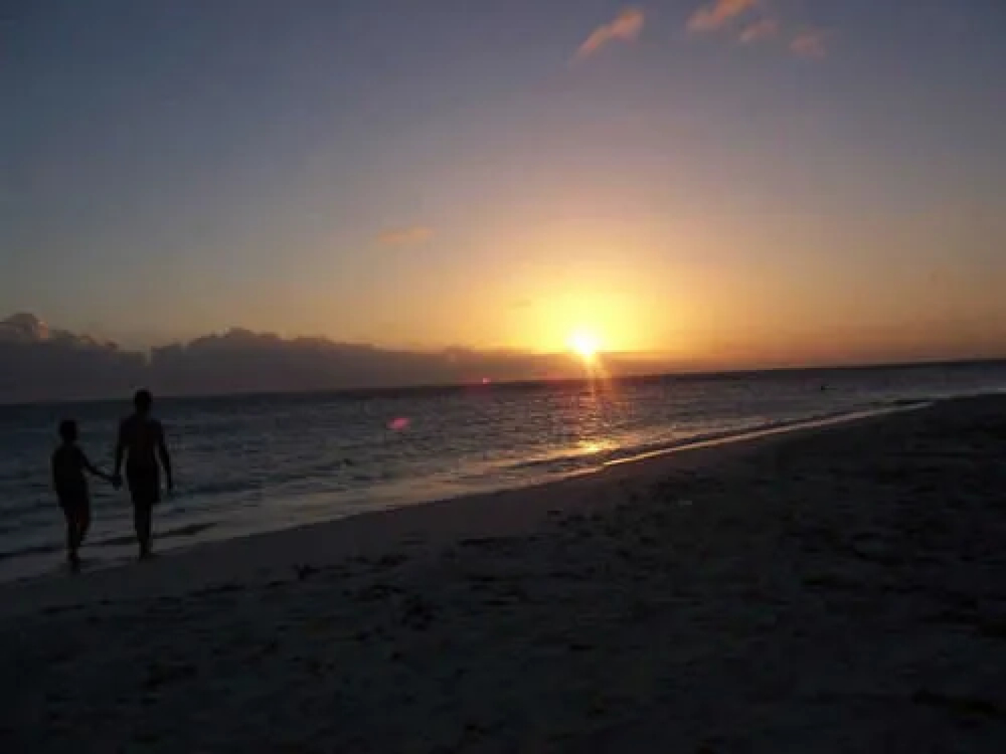 Island Beach Comber