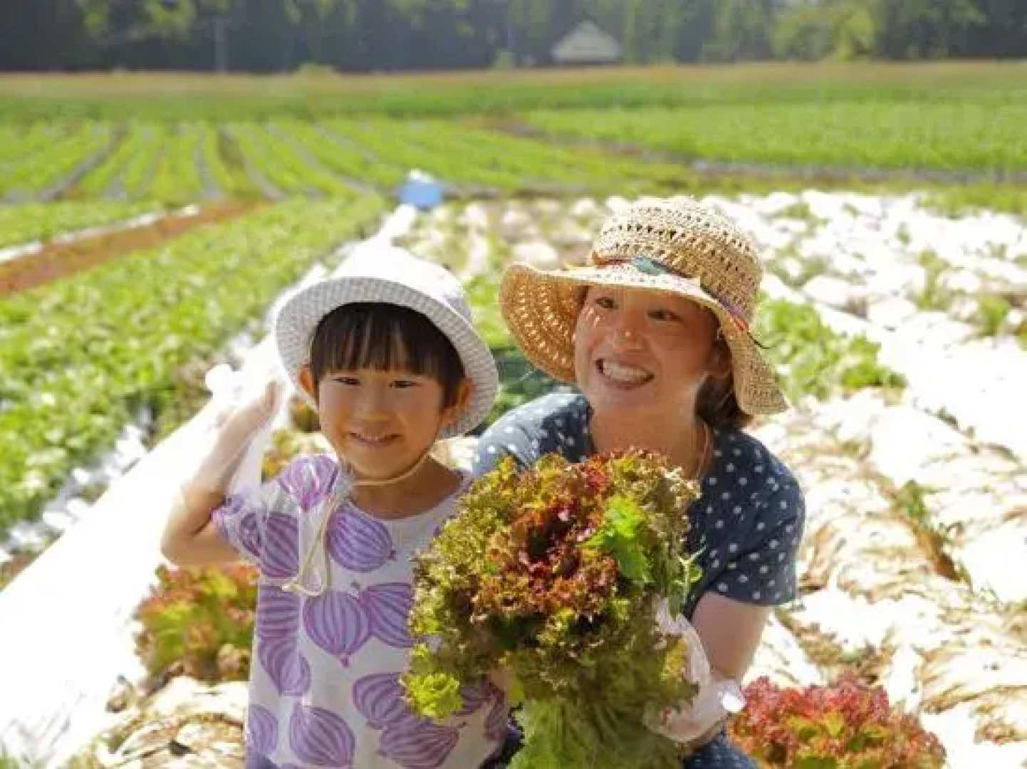 Yatsugatake Grace Hotel