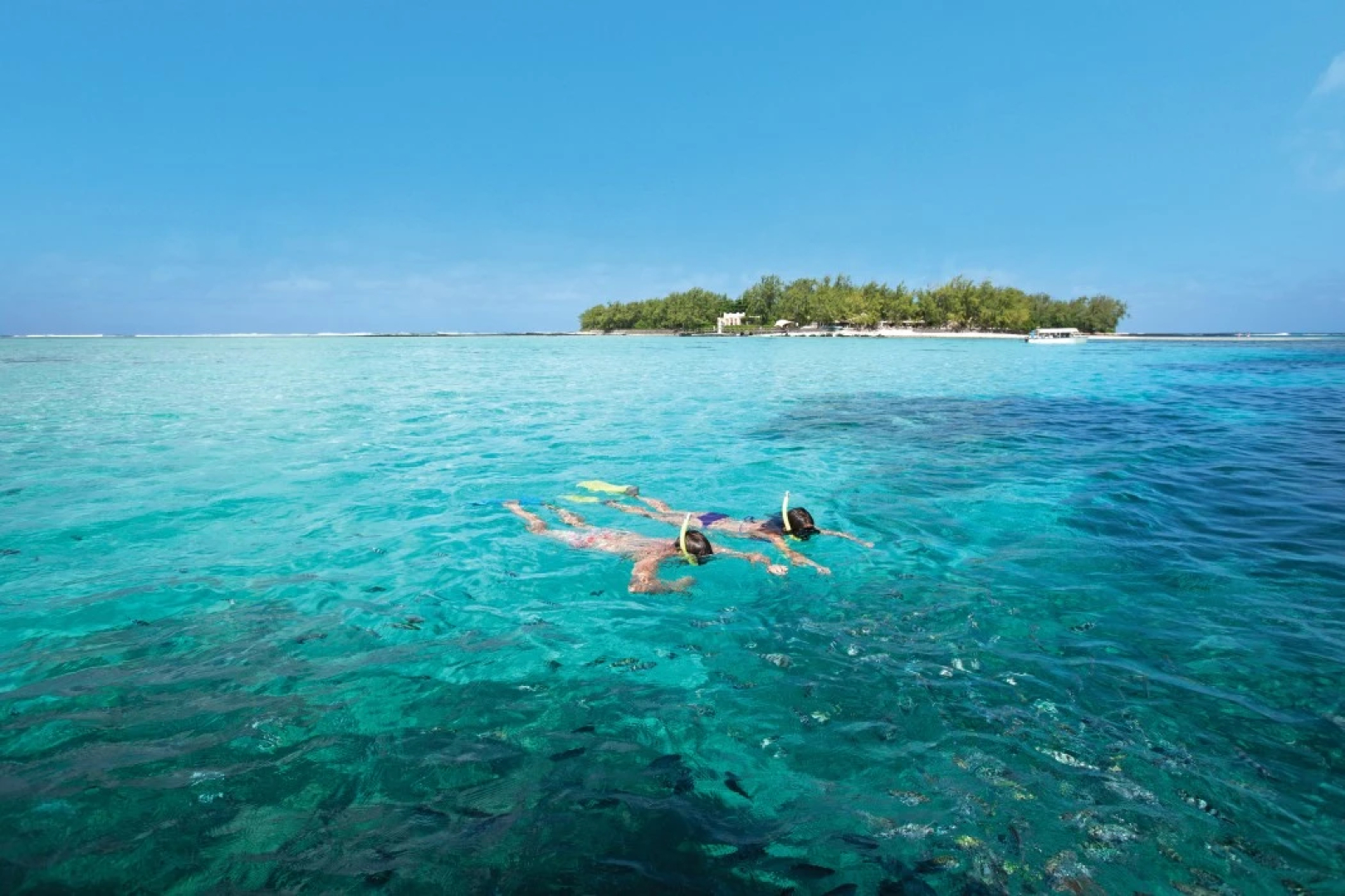 Ile Des Deux Cocos