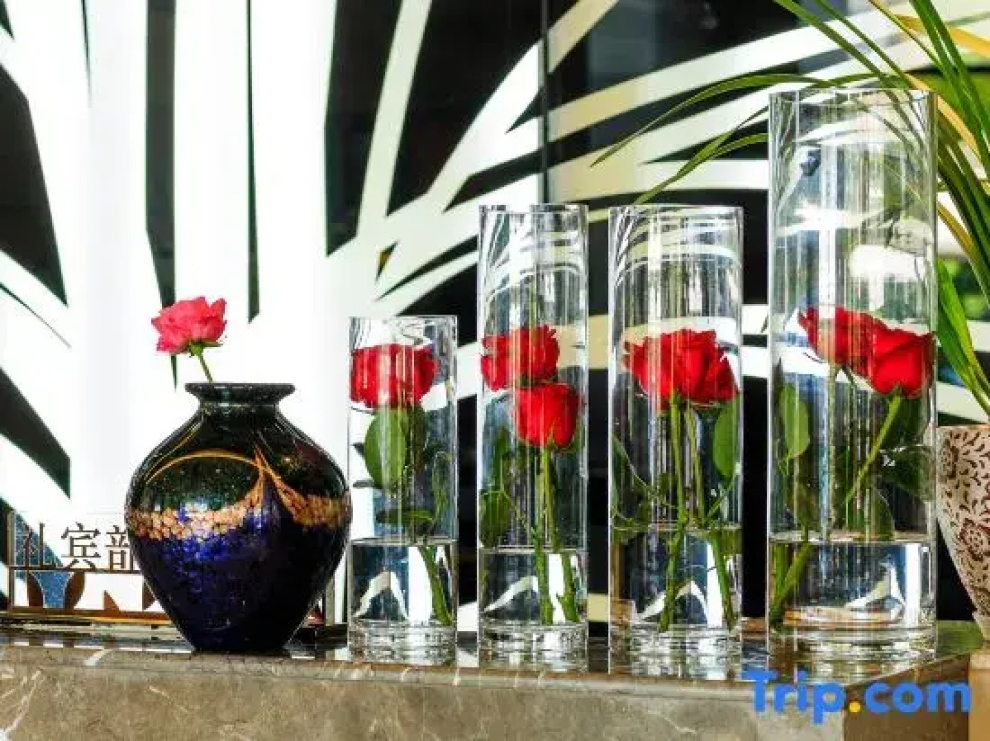 Vilu Reef International Hotel