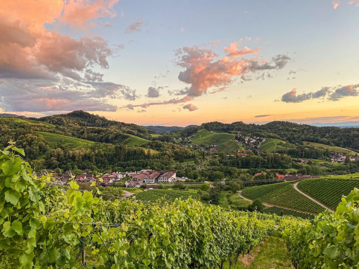 SCHUSTERjunge APARTHOTEL