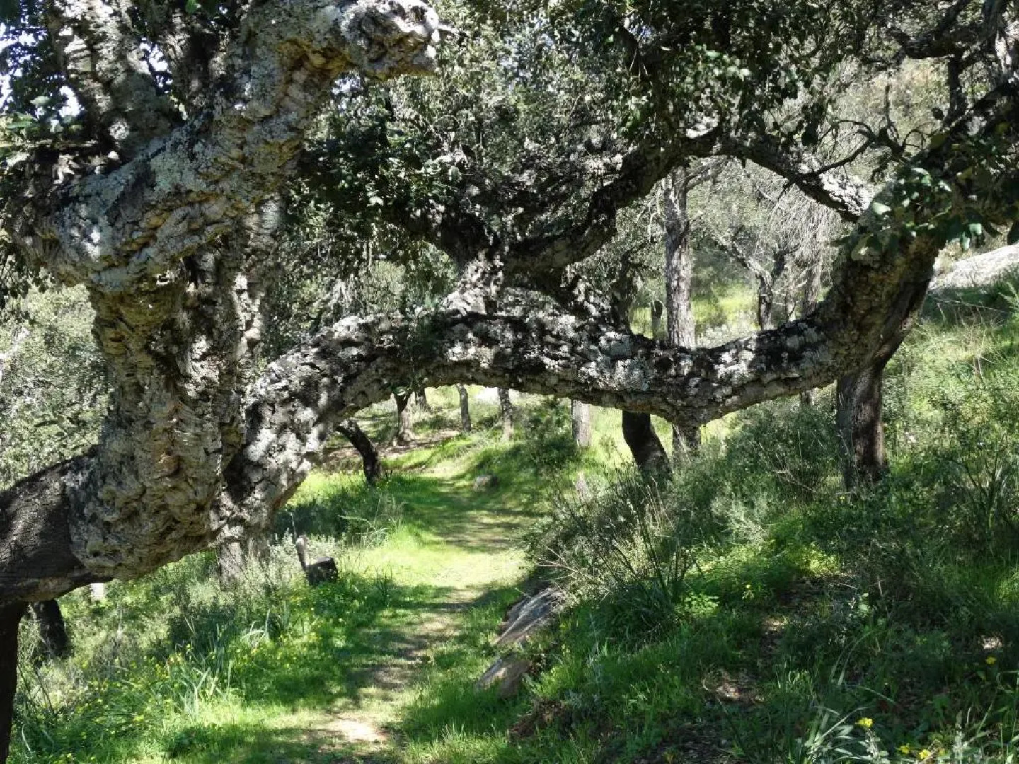 Alojamiento Rural El Lario