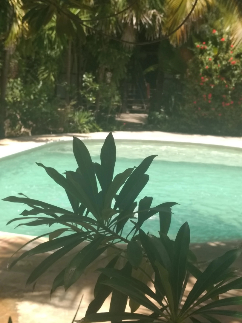 Green Tulum Hotel