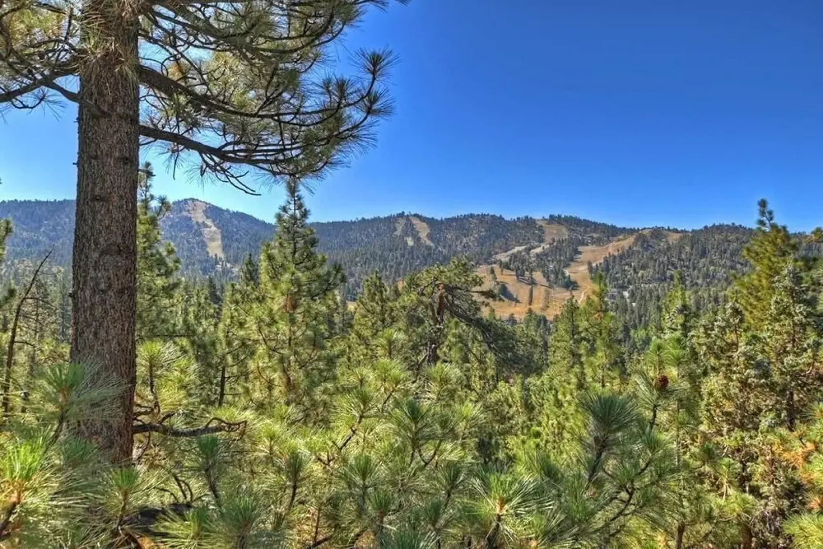 034 Menlo Suite Cabin