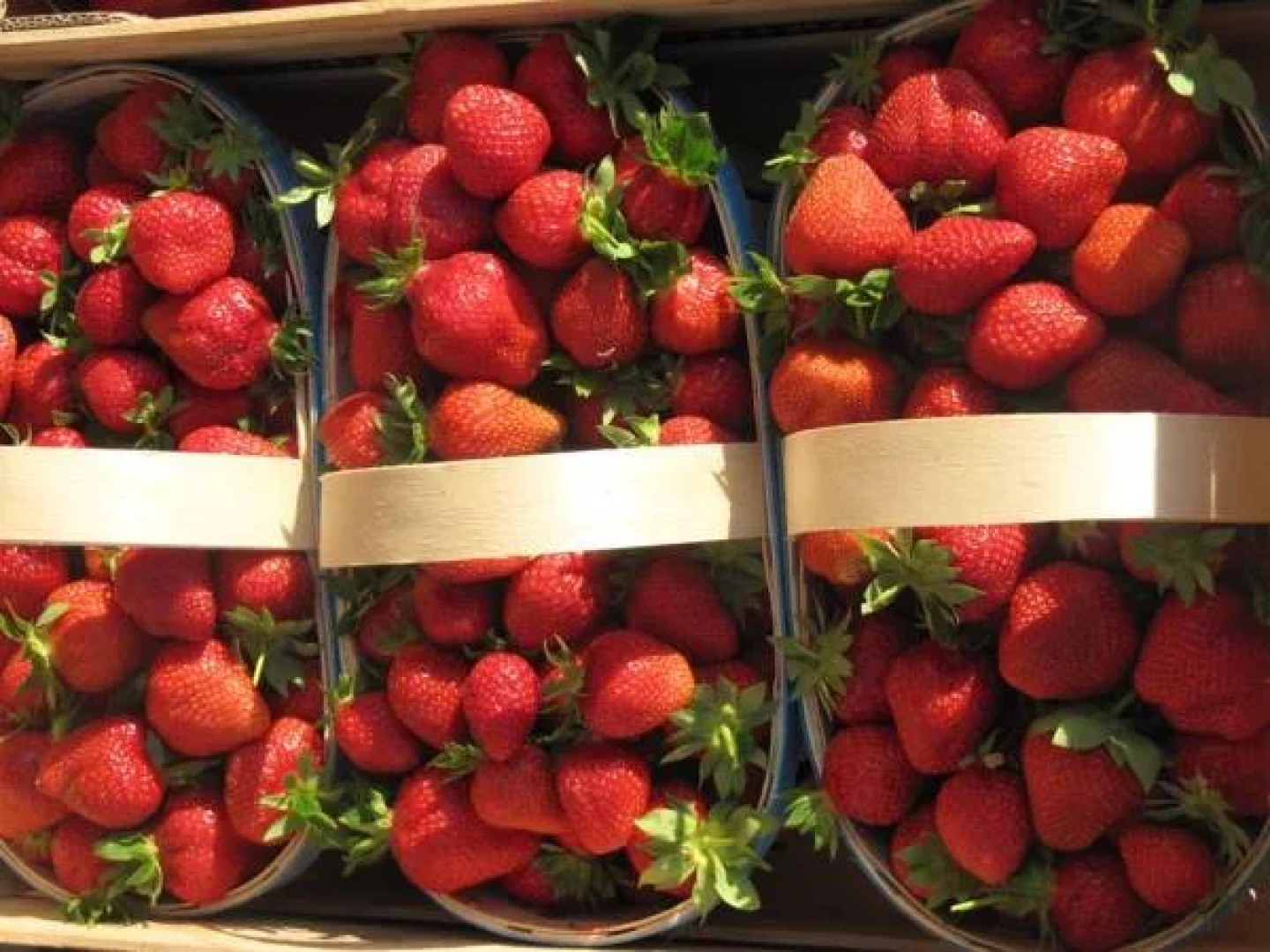 Logis Le Relais Du Mont Ventoux