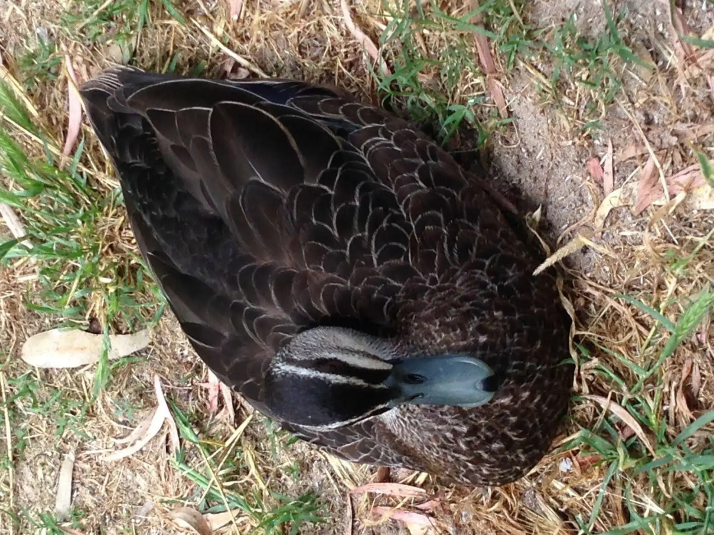 Sandy Bay Holiday Park