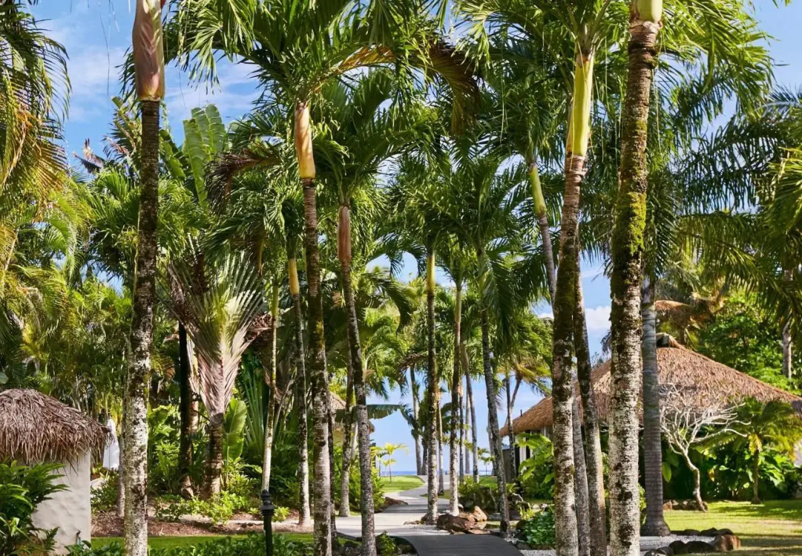 Motu Beachfront Art Villas