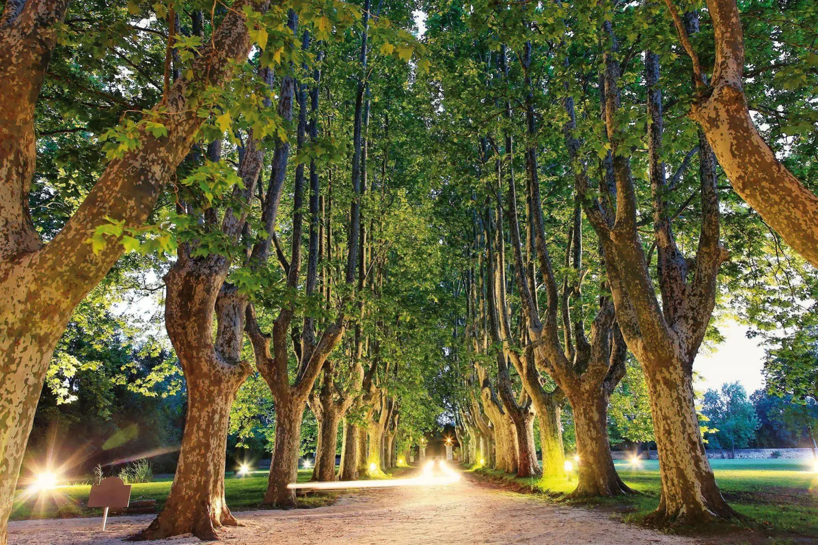 Hotel Château Des Alpilles