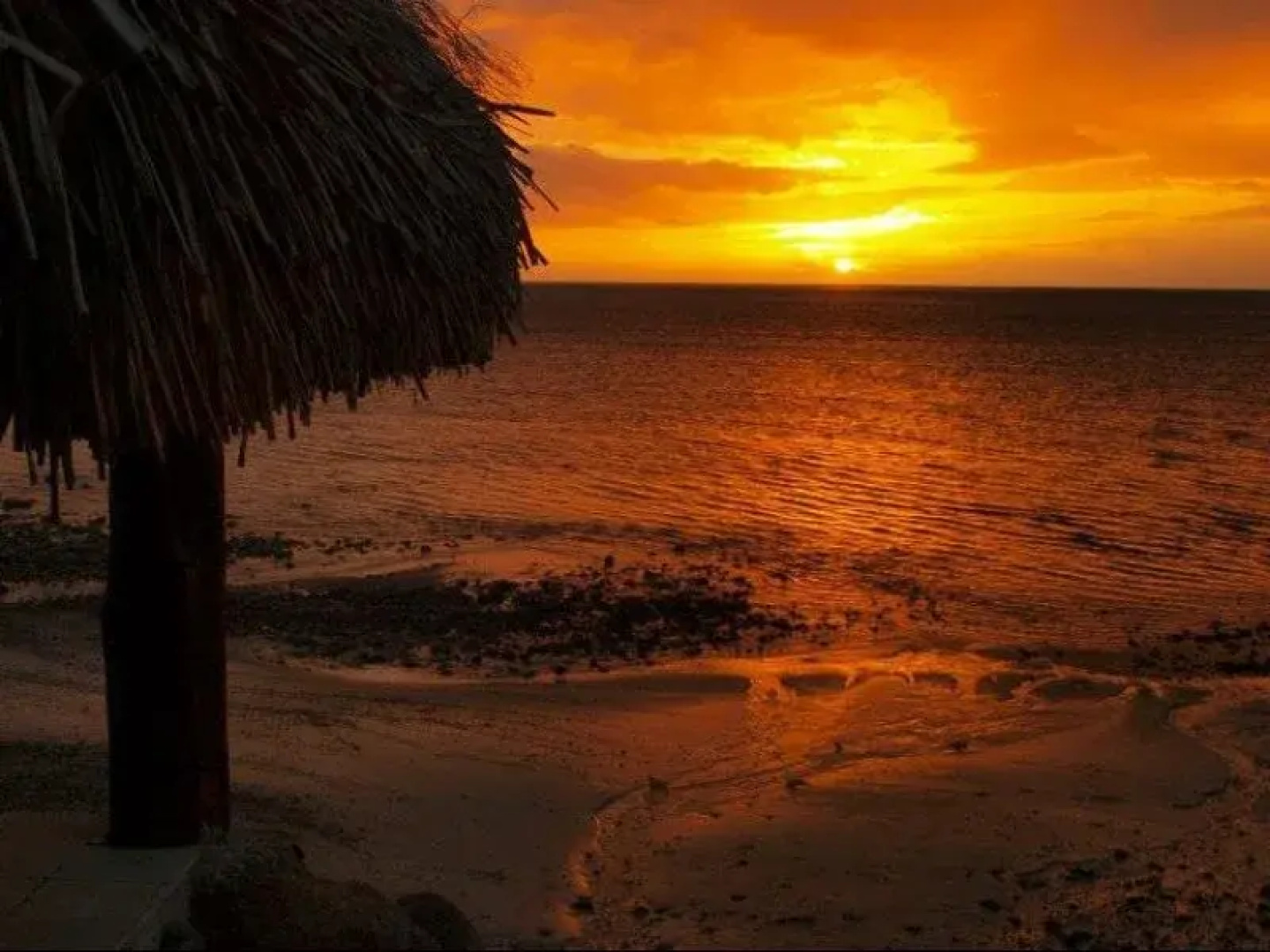 Fare Tokoau Moorea