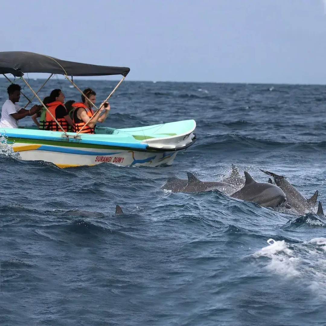 Cloud Nine Wilpattu by Aaradhya