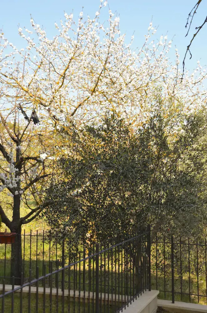 Appartamenti Le Terme