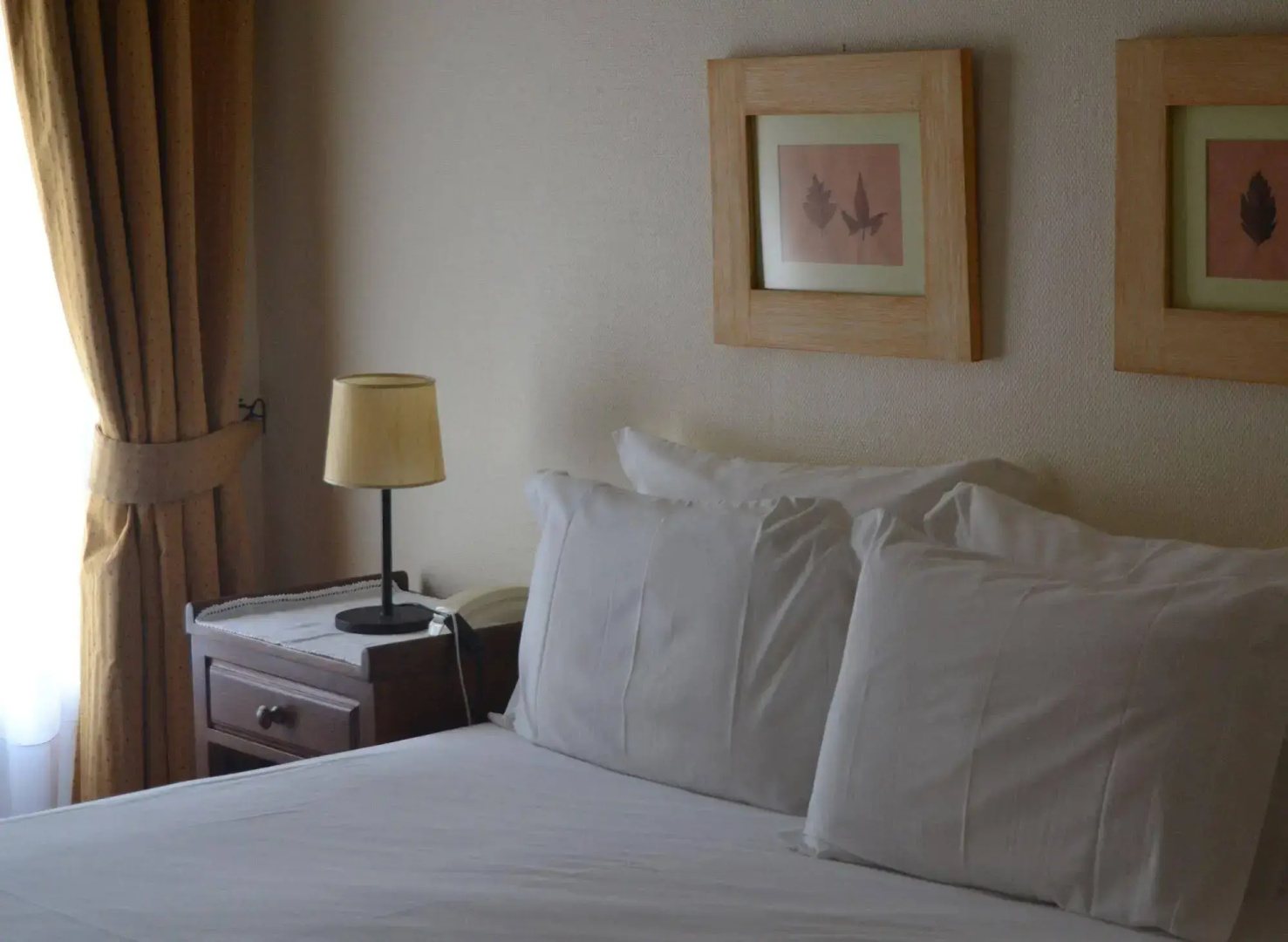 Hotel Carvalho Araújo