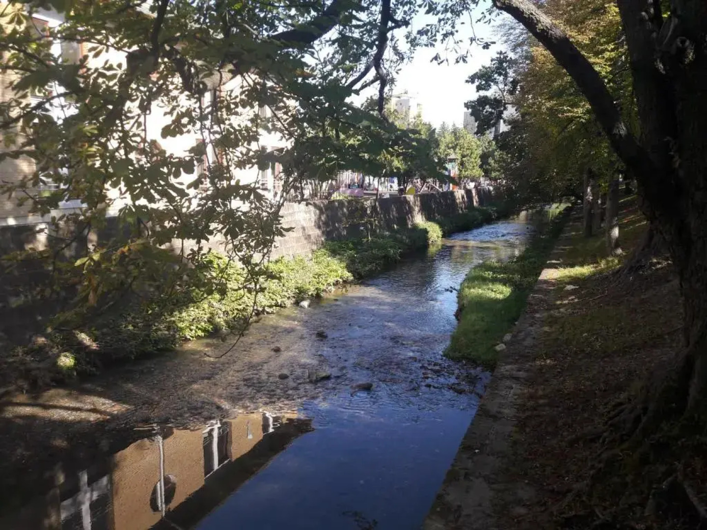 Orchidea Apartman Eger