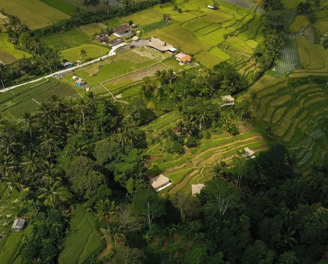 Nadi Nature Resort - Adults Only