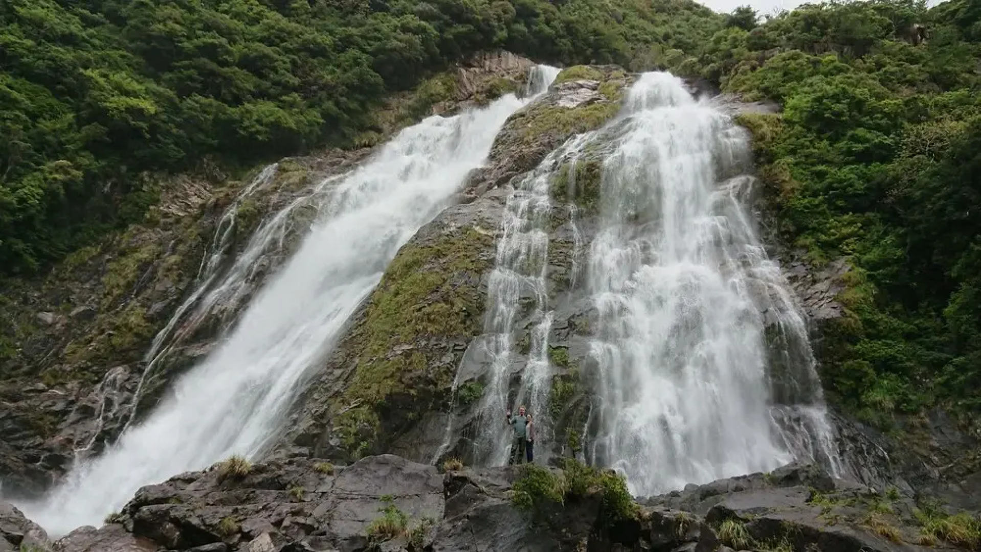 Yakushima Deaf Farm Guesthouse