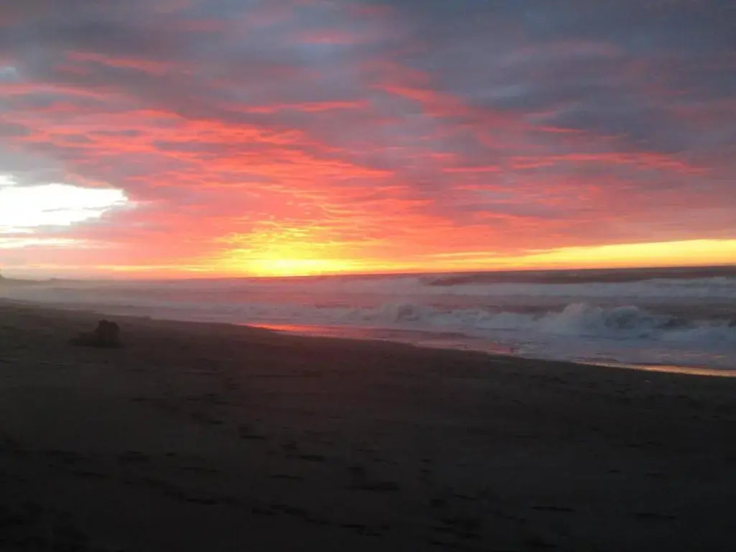 Large Spacious House