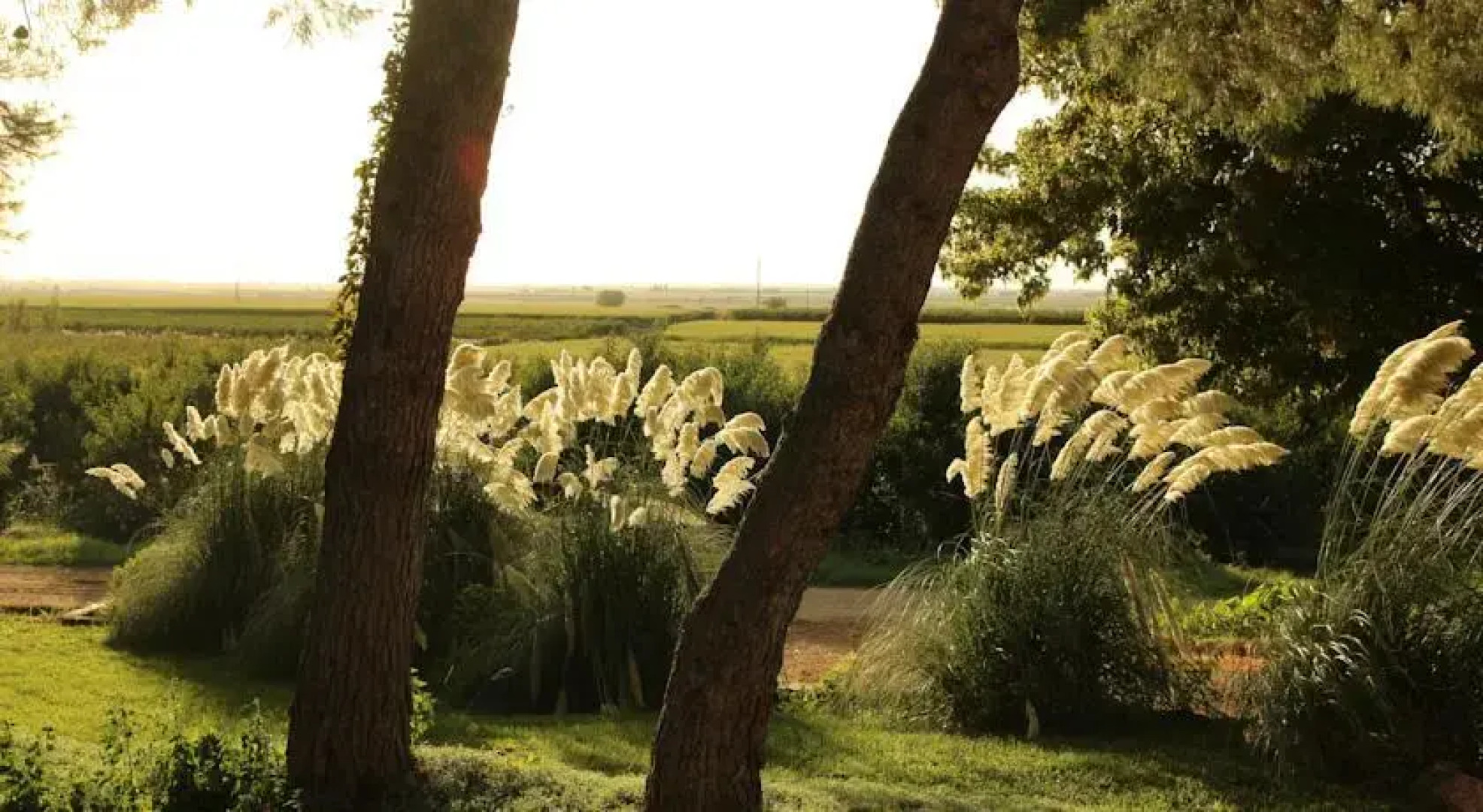 Casa Rural Cal Dalfó